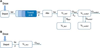 Population pharmacokinetics of buprenorphine and naloxone sublingual combination in Chinese healthy volunteers and patients with opioid use disorder: Model-based dose optimization